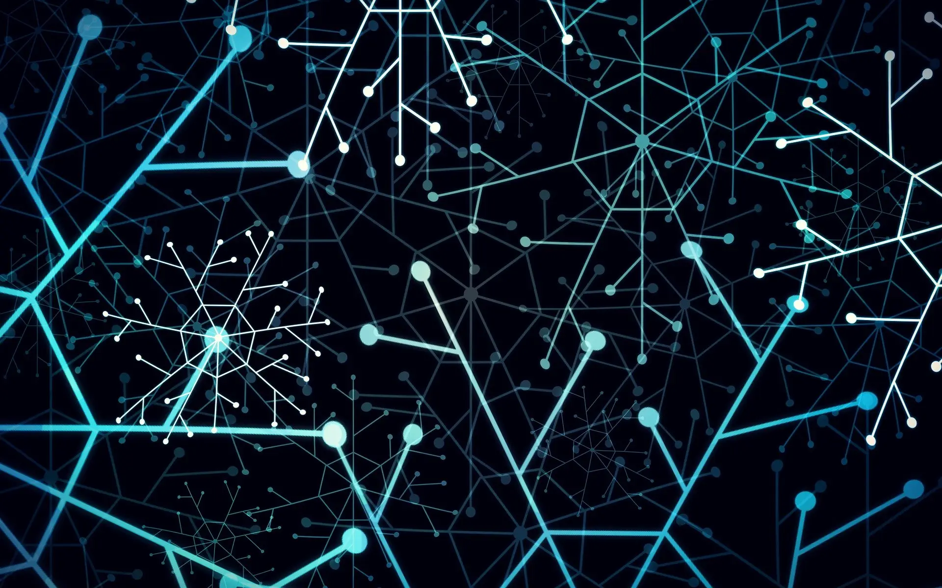 Home network 6088549 1920